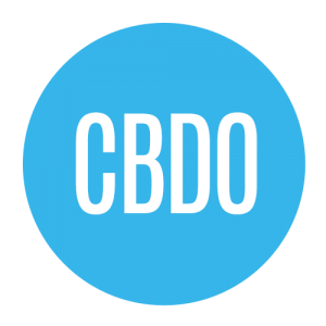CBDO department implications with lo maxim software business managment