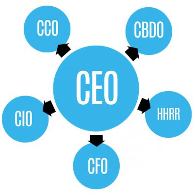 Departments involved with our sftware bussiness company implementation